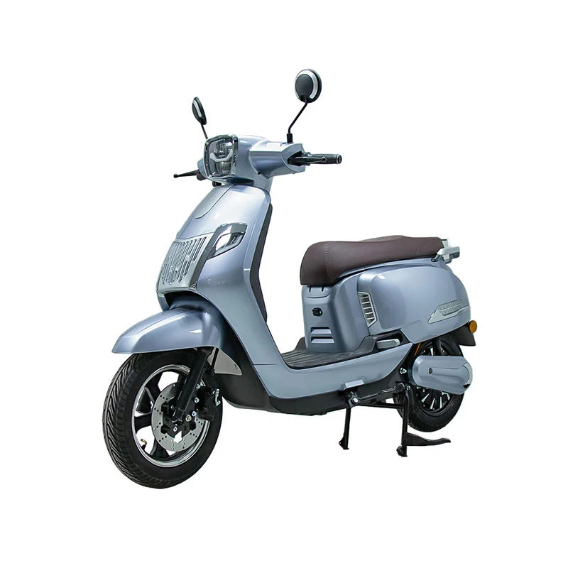 Elektrisk motorcykel til voksne 10 tommer 800W motorcykel